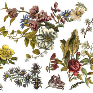 IOD Floral Anthology Transfer